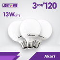 CLEARANCE SALE: Akari Led Globe Bulb 13 Watts Warm White (ALED-GB13WW x 3)