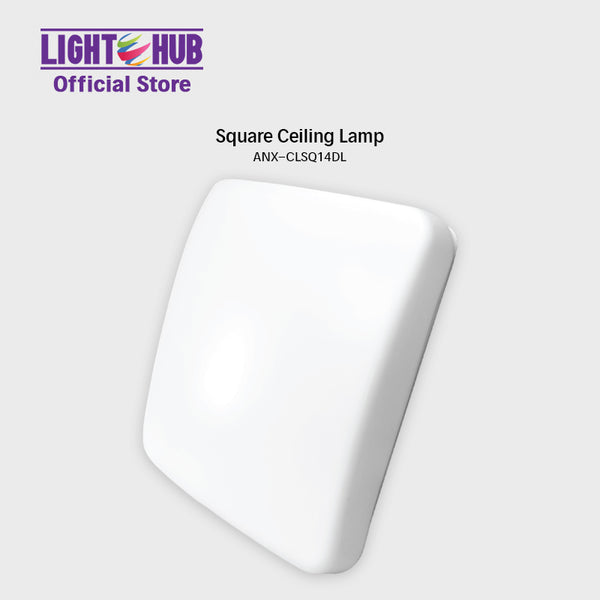 Nxled Square Ceiling Lamp (ANX-CLSQ14DL)